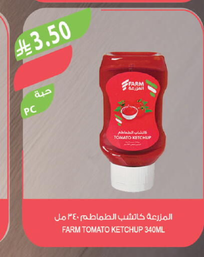 Tomato available at Farm  in KSA, Saudi Arabia, Saudi - Tabuk