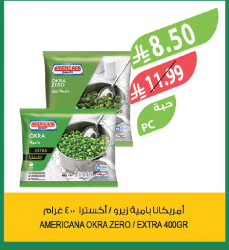 Okra available at Farm  in KSA, Saudi Arabia, Saudi - Tabuk