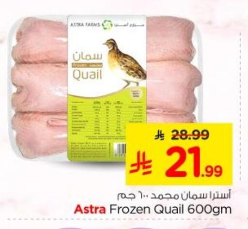 available at نستو in مملكة العربية السعودية, السعودية, سعودية - الخرج