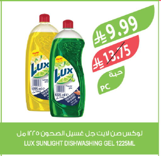 available at Farm  in KSA, Saudi Arabia, Saudi - Tabuk