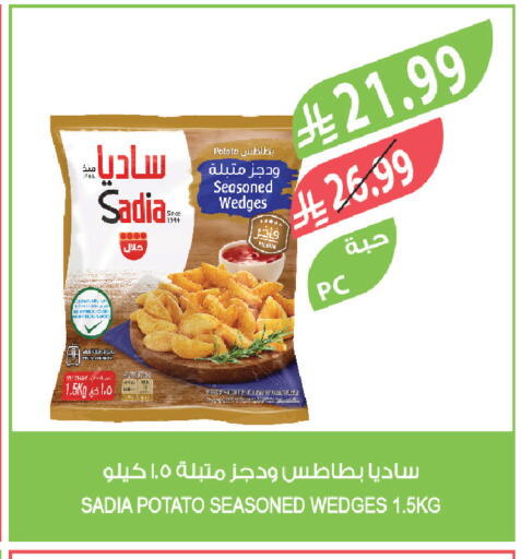 Potato available at Farm  in KSA, Saudi Arabia, Saudi - Tabuk
