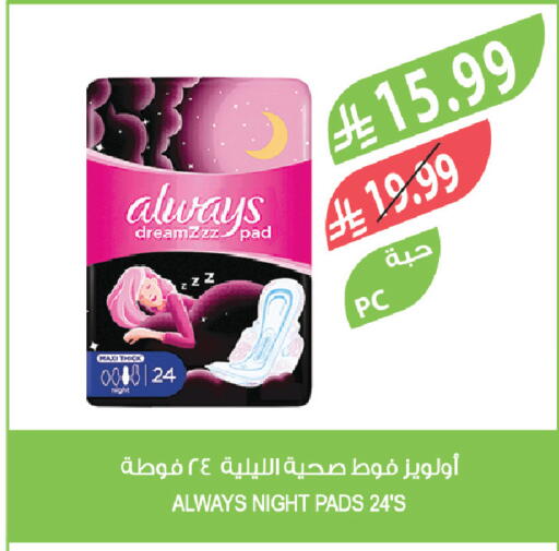 available at Farm  in KSA, Saudi Arabia, Saudi - Tabuk
