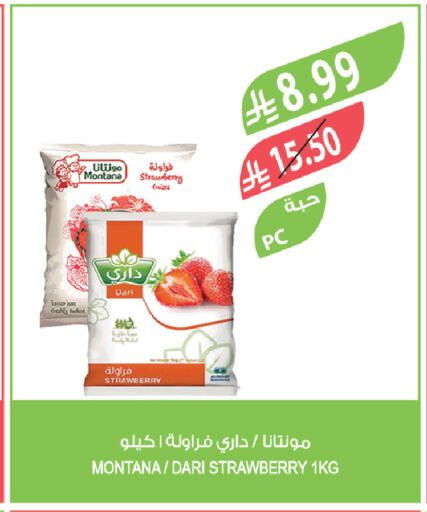 Strawberry available at Farm  in KSA, Saudi Arabia, Saudi - Tabuk