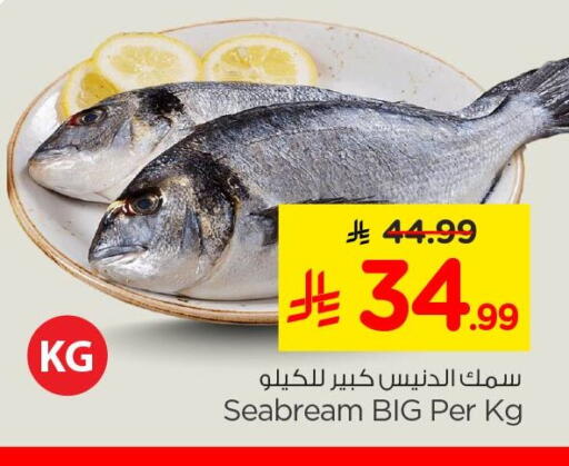 available at نستو in مملكة العربية السعودية, السعودية, سعودية - الخبر‎