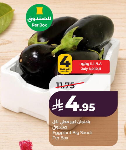 Eggplant from Saudi Arabia available at LULU Hypermarket in KSA, Saudi Arabia, Saudi - Al Khobar