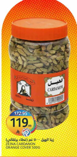 Orange available at AlJazera Shopping Center in KSA, Saudi Arabia, Saudi - Riyadh