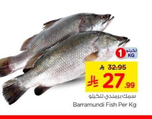 available at نستو in مملكة العربية السعودية, السعودية, سعودية - الخرج