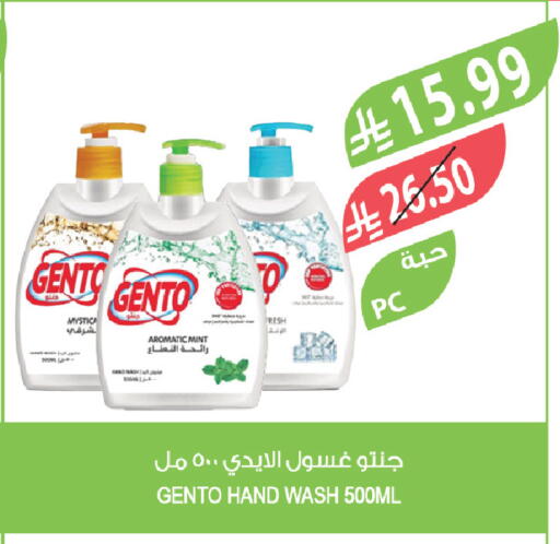 Mint available at Farm  in KSA, Saudi Arabia, Saudi - Tabuk