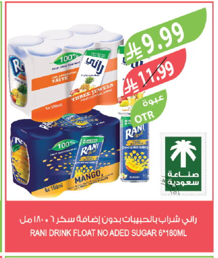 Mango available at Farm  in KSA, Saudi Arabia, Saudi - Al-Kharj