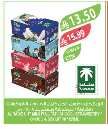Strawberry available at Farm  in KSA, Saudi Arabia, Saudi - Tabuk
