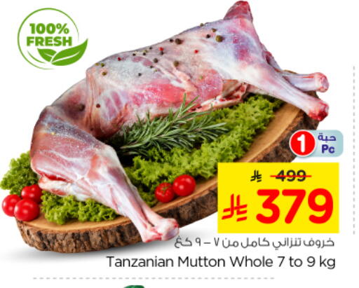 available at نستو in مملكة العربية السعودية, السعودية, سعودية - المجمعة