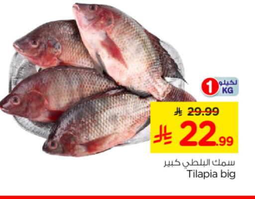 available at Nesto in KSA, Saudi Arabia, Saudi - Al Majmaah