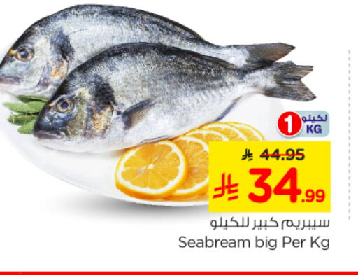 available at Nesto in KSA, Saudi Arabia, Saudi - Al Majmaah