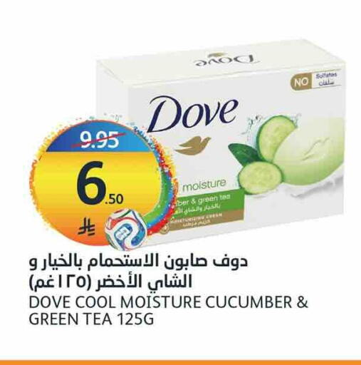 Cucumber available at AlJazera Shopping Center in KSA, Saudi Arabia, Saudi - Riyadh