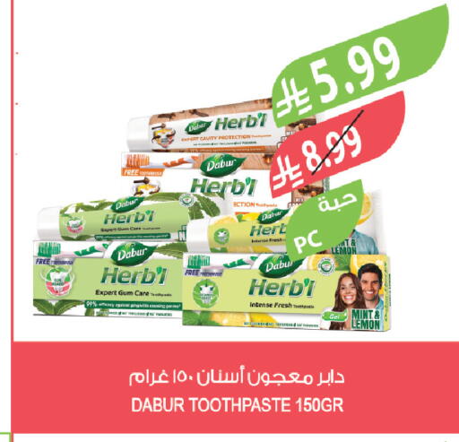 Lemon Mint available at Farm  in KSA, Saudi Arabia, Saudi - Tabuk