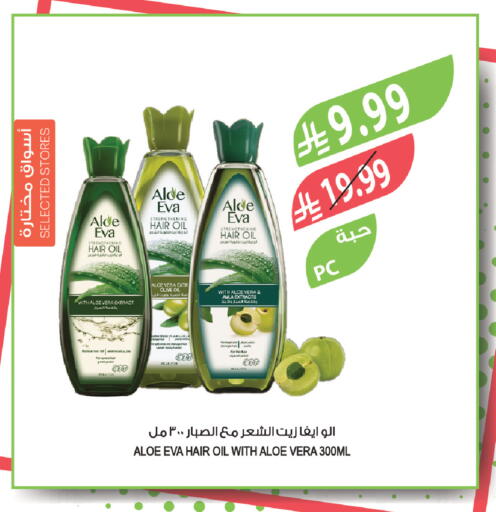 available at Farm  in KSA, Saudi Arabia, Saudi - Tabuk
