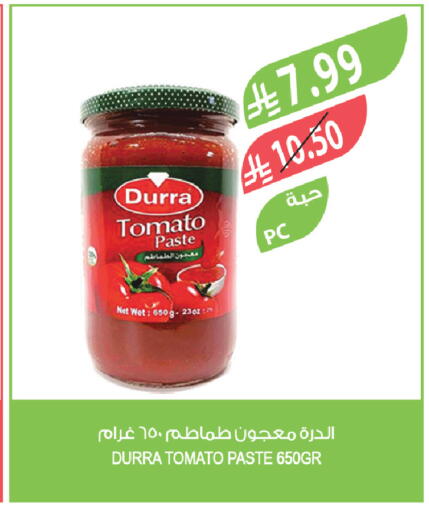Tomato available at Farm  in KSA, Saudi Arabia, Saudi - Tabuk