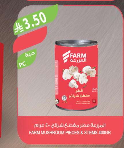 Mushroom available at Farm  in KSA, Saudi Arabia, Saudi - Tabuk