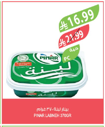 available at Farm  in KSA, Saudi Arabia, Saudi - Tabuk