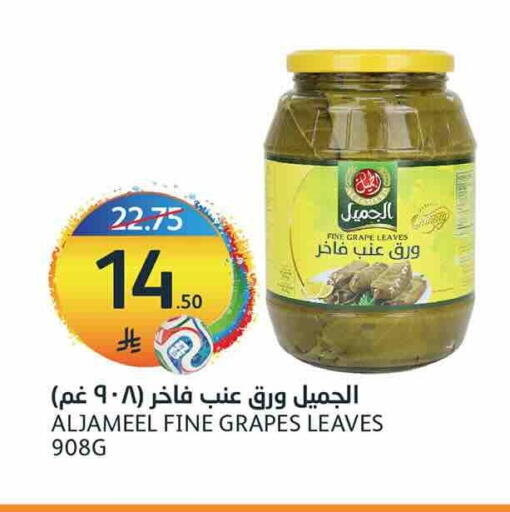 Grapes available at AlJazera Shopping Center in KSA, Saudi Arabia, Saudi - Riyadh