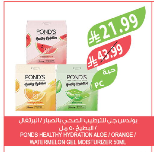Orange Watermelon available at Farm  in KSA, Saudi Arabia, Saudi - Al Khobar