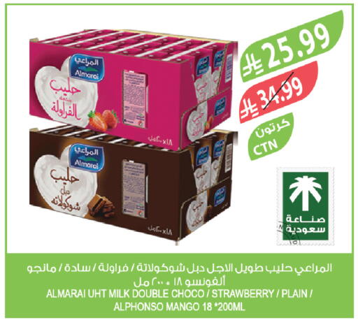 Strawberry Mango available at Farm  in KSA, Saudi Arabia, Saudi - Tabuk