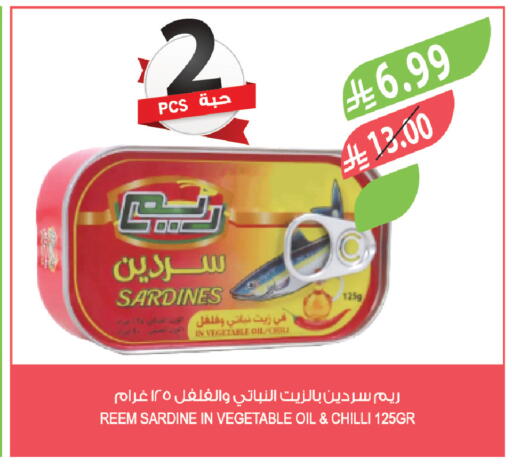 Chilli available at Farm  in KSA, Saudi Arabia, Saudi - Tabuk