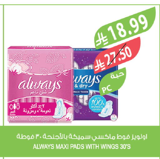 available at Farm  in KSA, Saudi Arabia, Saudi - Tabuk