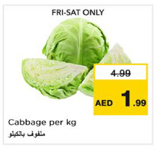 Cabbage available at نستو هايبرماركت in الإمارات العربية المتحدة , الامارات - رَأْس ٱلْخَيْمَة
