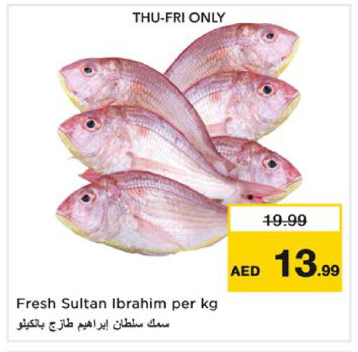 available at نستو هايبرماركت in الإمارات العربية المتحدة , الامارات - رَأْس ٱلْخَيْمَة