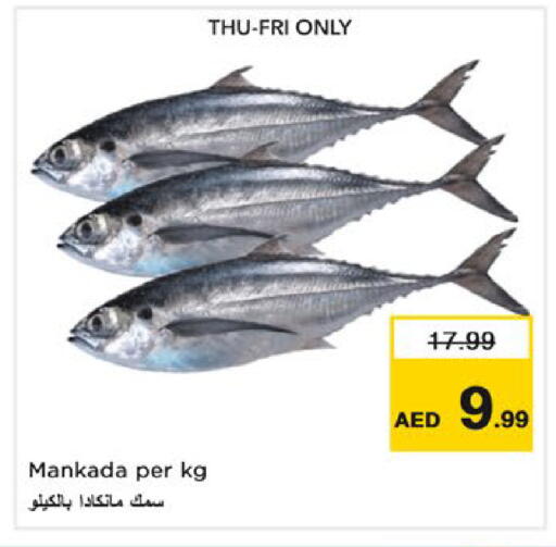 available at نستو هايبرماركت in الإمارات العربية المتحدة , الامارات - رَأْس ٱلْخَيْمَة