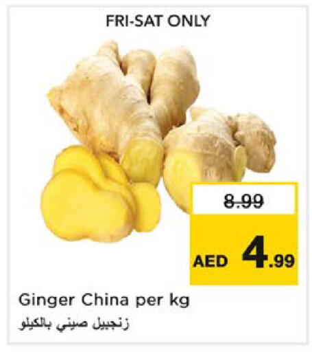 Ginger from China available at نستو هايبرماركت in الإمارات العربية المتحدة , الامارات - رَأْس ٱلْخَيْمَة