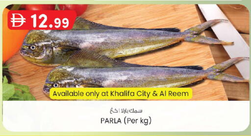 available at صفا اكسبريس سوبرماركت in الإمارات العربية المتحدة , الامارات - أبو ظبي