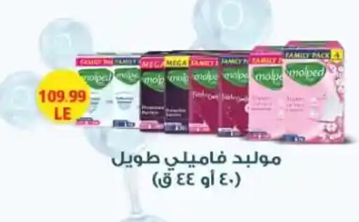 available at المحلاوي ستورز in Egypt - القاهرة