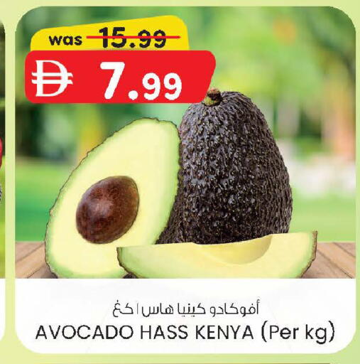 Avocado from Kenya available at صفا اكسبريس سوبرماركت in الإمارات العربية المتحدة , الامارات - أبو ظبي