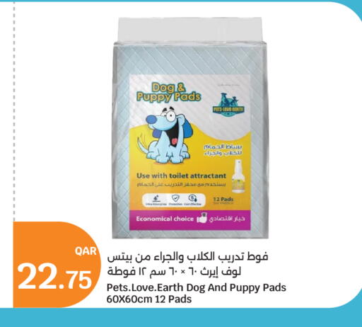 available at City Hypermarket in Qatar - Al Daayen