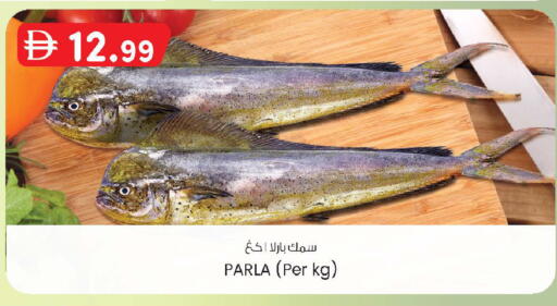 available at صفا اكسبريس سوبرماركت in الإمارات العربية المتحدة , الامارات - أبو ظبي