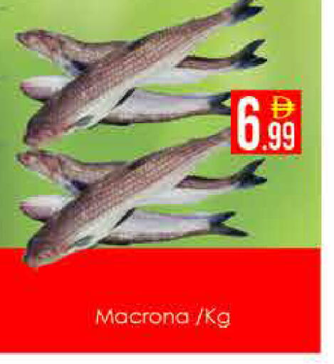 available at ايكو مول & ايكو هايبرماركت in الإمارات العربية المتحدة , الامارات - دبي