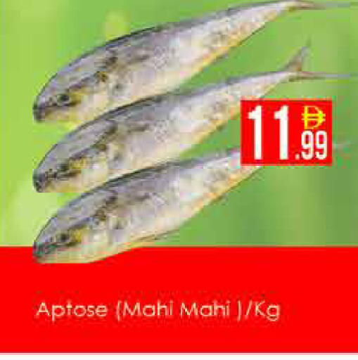 available at ايكو مول & ايكو هايبرماركت in الإمارات العربية المتحدة , الامارات - دبي