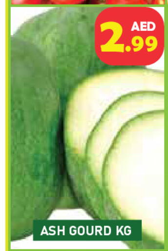 available at سنابل بني ياس in الإمارات العربية المتحدة , الامارات - رَأْس ٱلْخَيْمَة