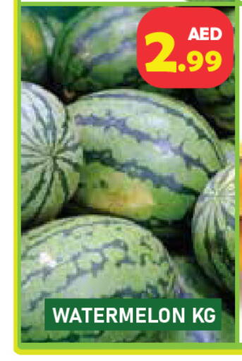 Watermelon available at سنابل بني ياس in الإمارات العربية المتحدة , الامارات - رَأْس ٱلْخَيْمَة