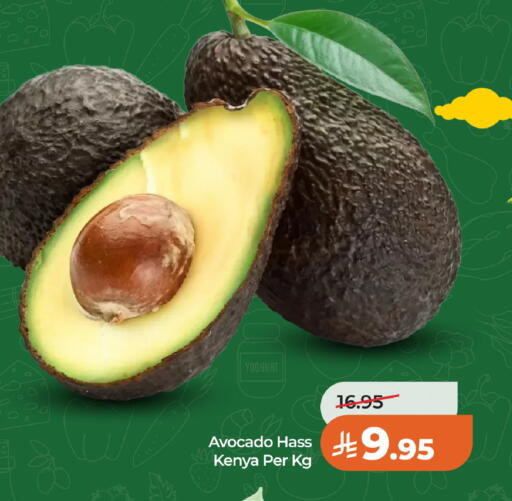 Avocado from Kenya available at لولو هايبرماركت in مملكة العربية السعودية, السعودية, سعودية - الخبر‎