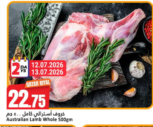 available at دانة هايبرماركت in قطر - الريان