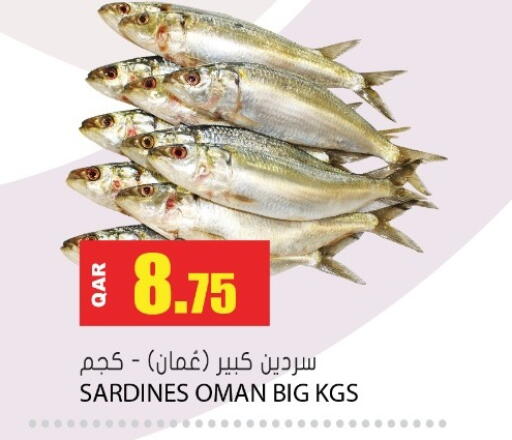 available at جراند هايبرماركت in قطر - الشحانية