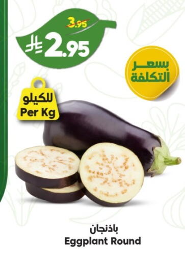 Eggplant available at الدكان in مملكة العربية السعودية, السعودية, سعودية - جدة