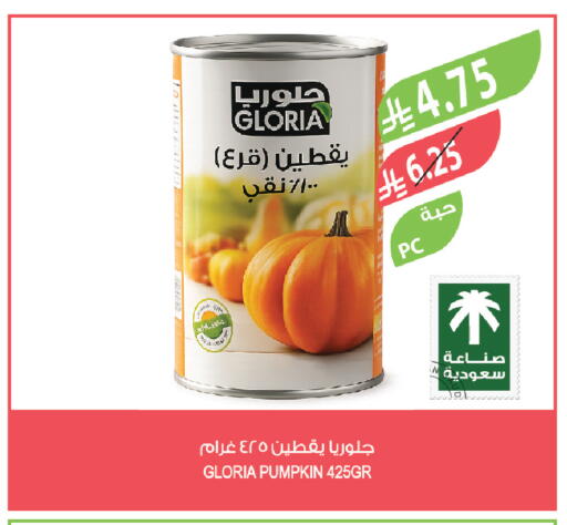 Pumpkin available at المزرعة in مملكة العربية السعودية, السعودية, سعودية - الخرج