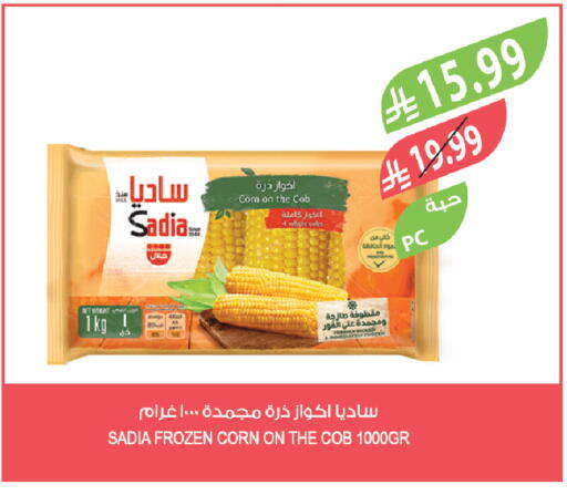 available at المزرعة in مملكة العربية السعودية, السعودية, سعودية - الخرج