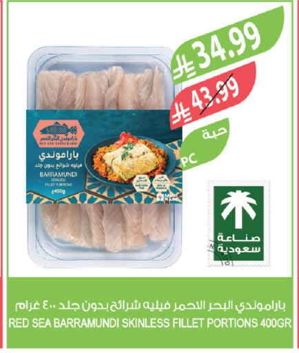 available at المزرعة in مملكة العربية السعودية, السعودية, سعودية - تبوك
