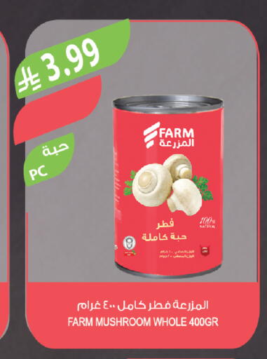 Mushroom available at المزرعة in مملكة العربية السعودية, السعودية, سعودية - الخرج