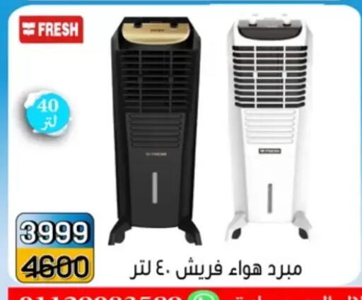 in Egypt - القاهرة